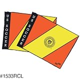 Replacement USSF Flags Only