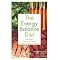 Best Books on or related to Holistic Nutrition