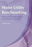 Water utility benchmarking : measurement, methodologies, and performance incentives