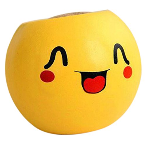 Jiaufmi 1pieces Cute Novelty Emoji Ceramics Magic Grass Bonsai Head |  Desertcart Fiji