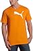 Puma Men's Cattee,Russet Orange-White,Large