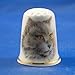 Porcelain China Collectable Thimble - Persian Cat -- Free Gift Box