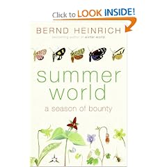 Summer World: A Season of Bounty