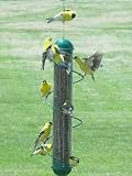 Bird Feeder, 17 inch Green Spiral Thistle