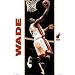 Miami Heat Dwayne Wade NBA Art Poster Print 22x34