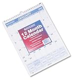 AT-A-GLANCE PM128 Ruled Daily Blocks Monthly Wall Calendar, 8 X 11, Blue Ink/Red Highlights, Carton of 12