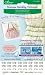 Cables Free Shipping - Clover Nouveau Smocking Stickers, Double Cable Design
