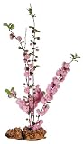 Ikebana Vase for Buddhist Flower Arrangement Meditation