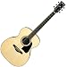 Ibanez AC300NT Artwood Traditional Acoustic - New