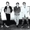 Image of The Members