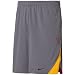 Nike USC Trojans Ash Training Shorts