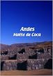 Andes  Andes: Matte de Coca