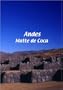 Andes  Andes: Matte de Coca
