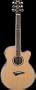 Dean Performer Mini Jumbo Acoustic-Electric Cutaway Guitar with Tuner Preamp