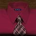 European Styled Dress Shirt