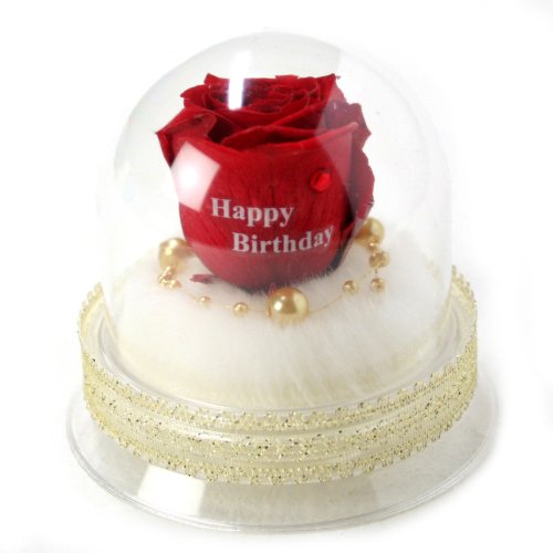 メッセージローズ (Preserved Rose) ローズドーム S1~情熱のラブジャック アトミック~レッド 【バースデイストーン☆1月】【Happy Birthday】 22228