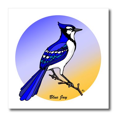 3dRose ht_24774_3 Birds Blue Jay 2 on White-Iron on Heat Transfer Paper for White Material, 10 by 10-Inch