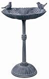 52cm (20.5) Pedestal Bird Bath - Cast