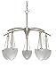 Nuvo Lighting 60/130 Brushed Nickel South Beach Contemporary / Modern Five Light Down Lighting Chandelier from the South Beach Collection