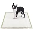 Clean Go Pet Biodegradable Puppy Pad, 100-Pack