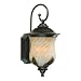 Westinghouse 69513 Byberry Three-Light Exterior Wall Lantern, Marbleized Bronze Finish with Champagne Mist Globe