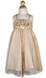 Embroidered Mesh Dress, special occasion, holiday dress