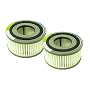 2 Dirt Devil F15 Filters 1SS0150000