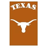 Lets Party By Party Animal Texas Longhorns Banner Flag