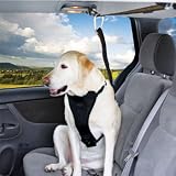 PETCO Premium Zipline Dog Seat Belt