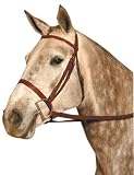 Kincade Flat Snaffle Bridle
