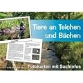 Tiere an Teichen und B�chen - Fotokarten mit Sachinfos