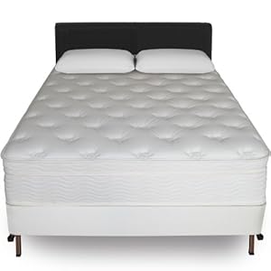 Sleep Master 13-Inch Euro Top Spring Mattress and Bi-Fold Box Spring Set, Queen