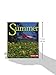 Summer (First Step Nonfiction ― Seasons)