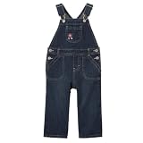 Infant Girls' Genuine Kids from OshKosh Overall - Summer Medium