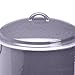 Paula Deen Signature Enamel on Steel 12-Quart Covered Stockpot, Lavender