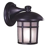 Cranston ENERGY STAR 8 3/4 High Outdoor Light
