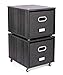 BirdRock Home Rolling File Cabinet with 2 Lateral Drawers â€“ Decorative Storage Shelf, Blankets, Books, Files, Magazines, Toys, etc â€“ Removable Bin with Handles â€“ Under Desk Office Living Room Home