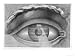 Eye Enclosing the Theatre at Besancon, France, 1847 Art Giclee Poster Print by Claude...