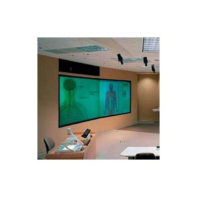 DiamondScreen Rear Projection Screen with No Frame - 161