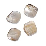 Eigenschaften KnorrPrandell / Gütermann / KnorrPrandell 6079553 - Muschel Perlen natur, 20 Stück/Beutel