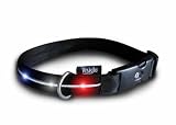 Lighted Red, White and Blue LED Dog Collar - Medium