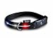 Pet Supplies : New Version: Medium - Red/White/Blue LED Visiglo Lighted Dog Collar (13 - 20")