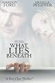 play video on Amazon Instant Video