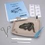 Frog Anatomy Kit with Dissection Set