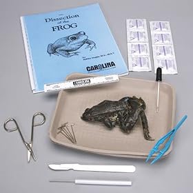 Frog Anatomy Kit with Dissection Set