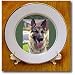 German Shepherd Portrait - 8 Inch Porcelain Plate