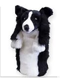 Border Collie Daphne Head Cover