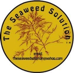 The Seaweed (Agar Agar) Solution, Orange Flavored Seaweed Powder (56 - 12 Ounce Servings (For Appetite Suppression)) / Weight Loss