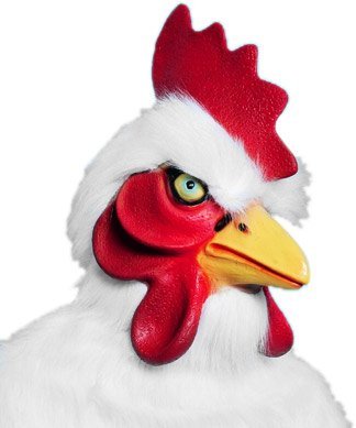 White Chicken Costume