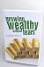 Growing Wealthy without Tears by SUNDAY ADELAJA